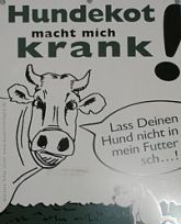 Sind Hunde schuld am Kälbertod?