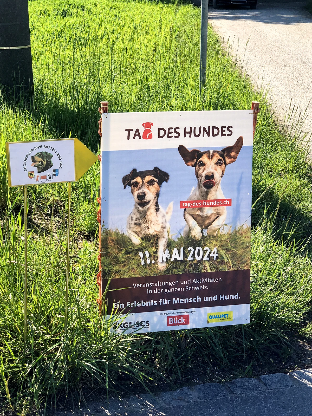 Tag des Hundes 2024