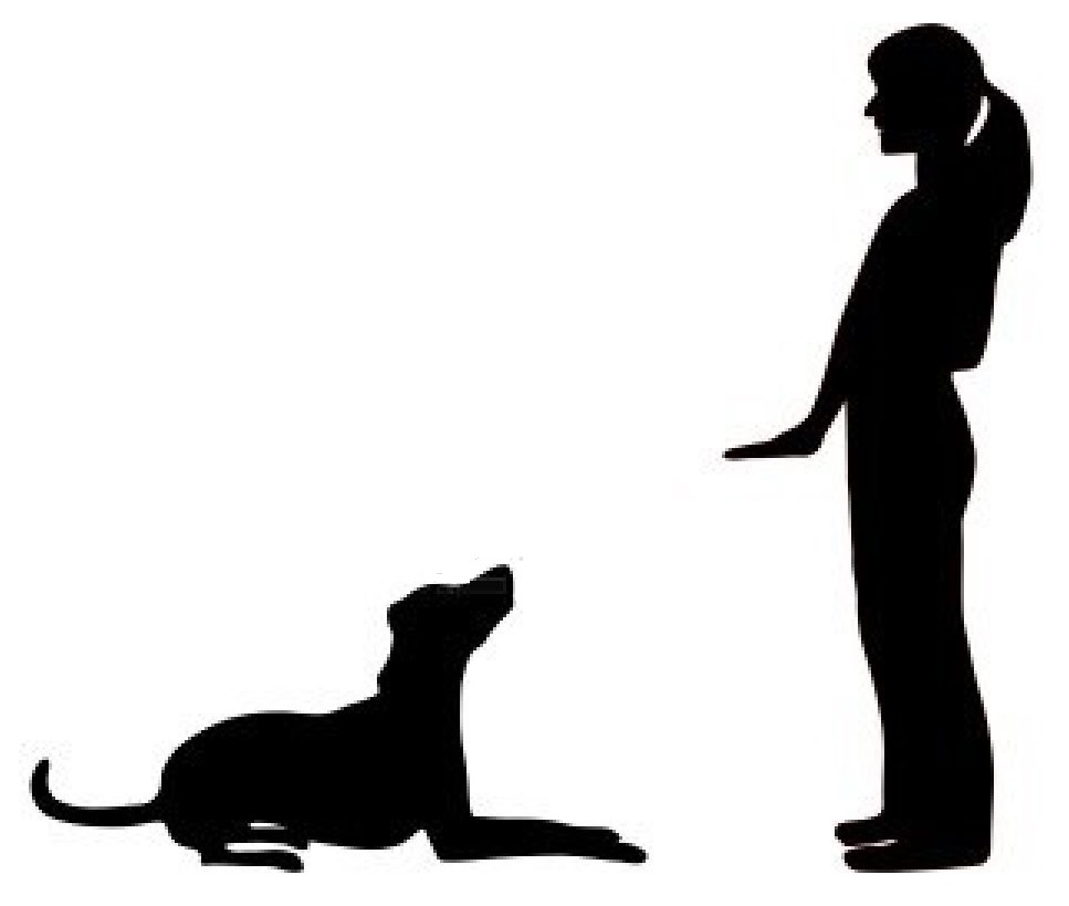 Obedience Gruppe