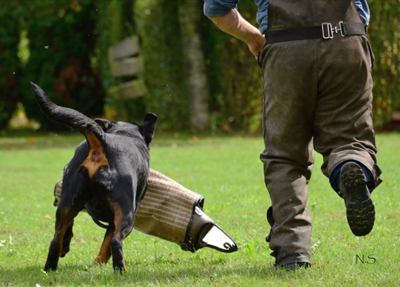 Schutzdienst Gruppe