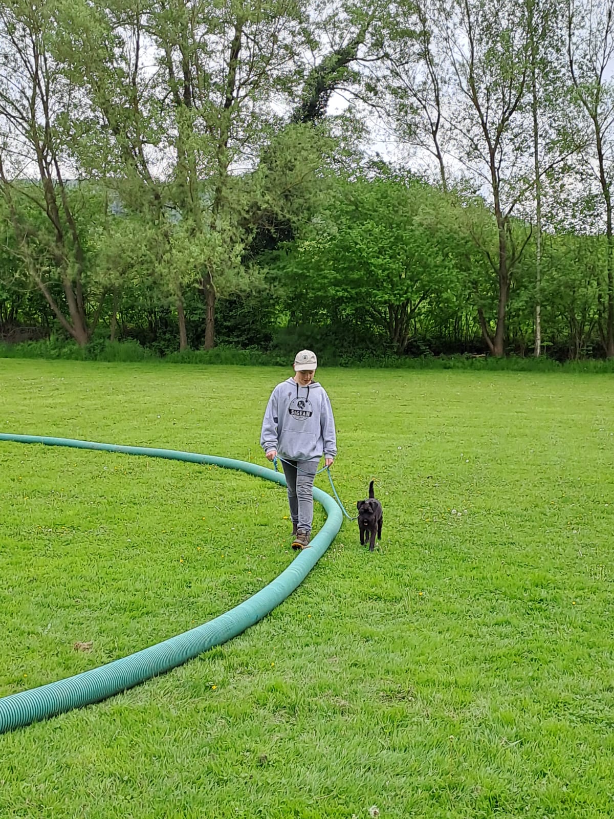 Tag des Hundes 2023