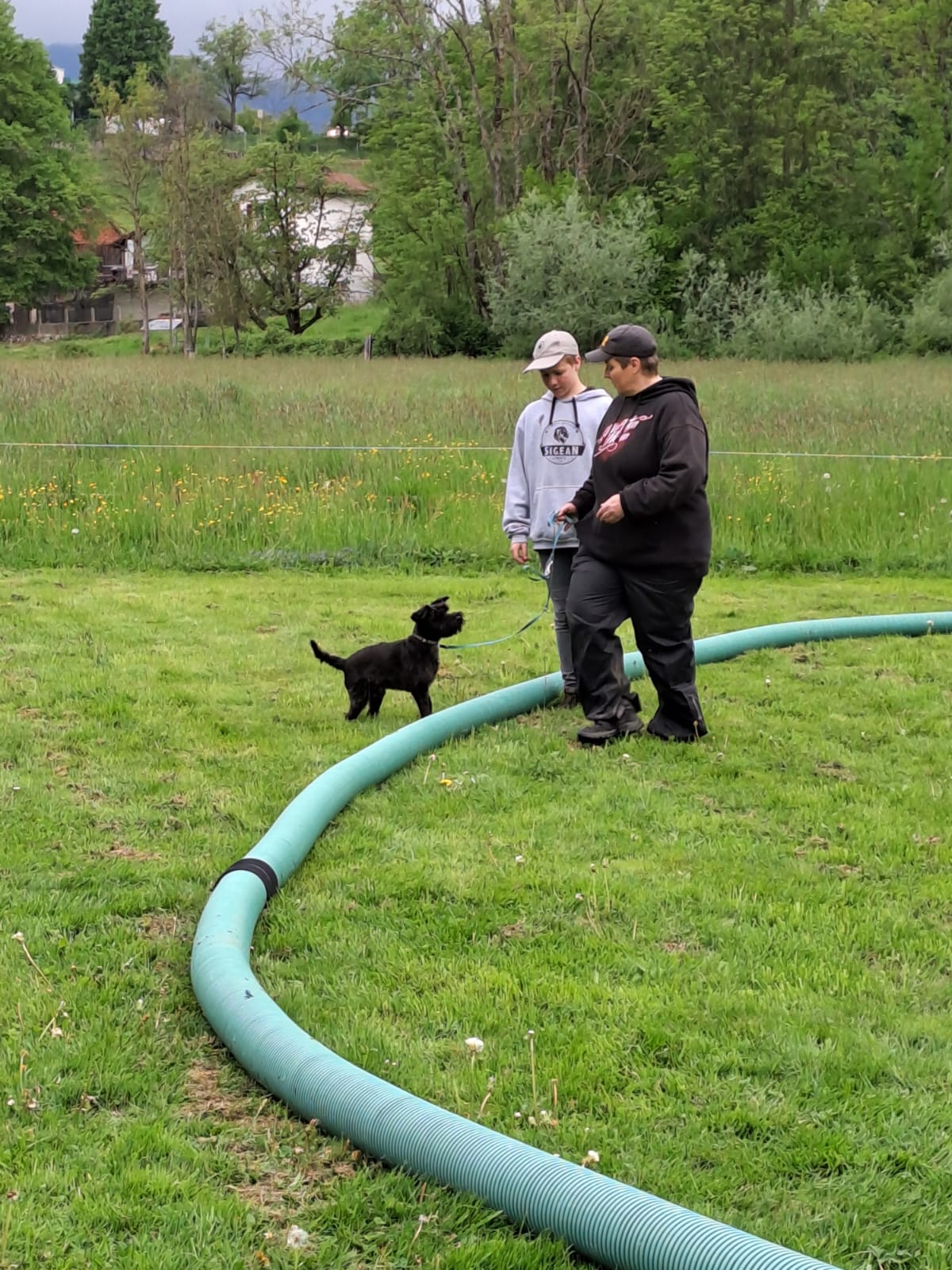 Tag des Hundes 2023