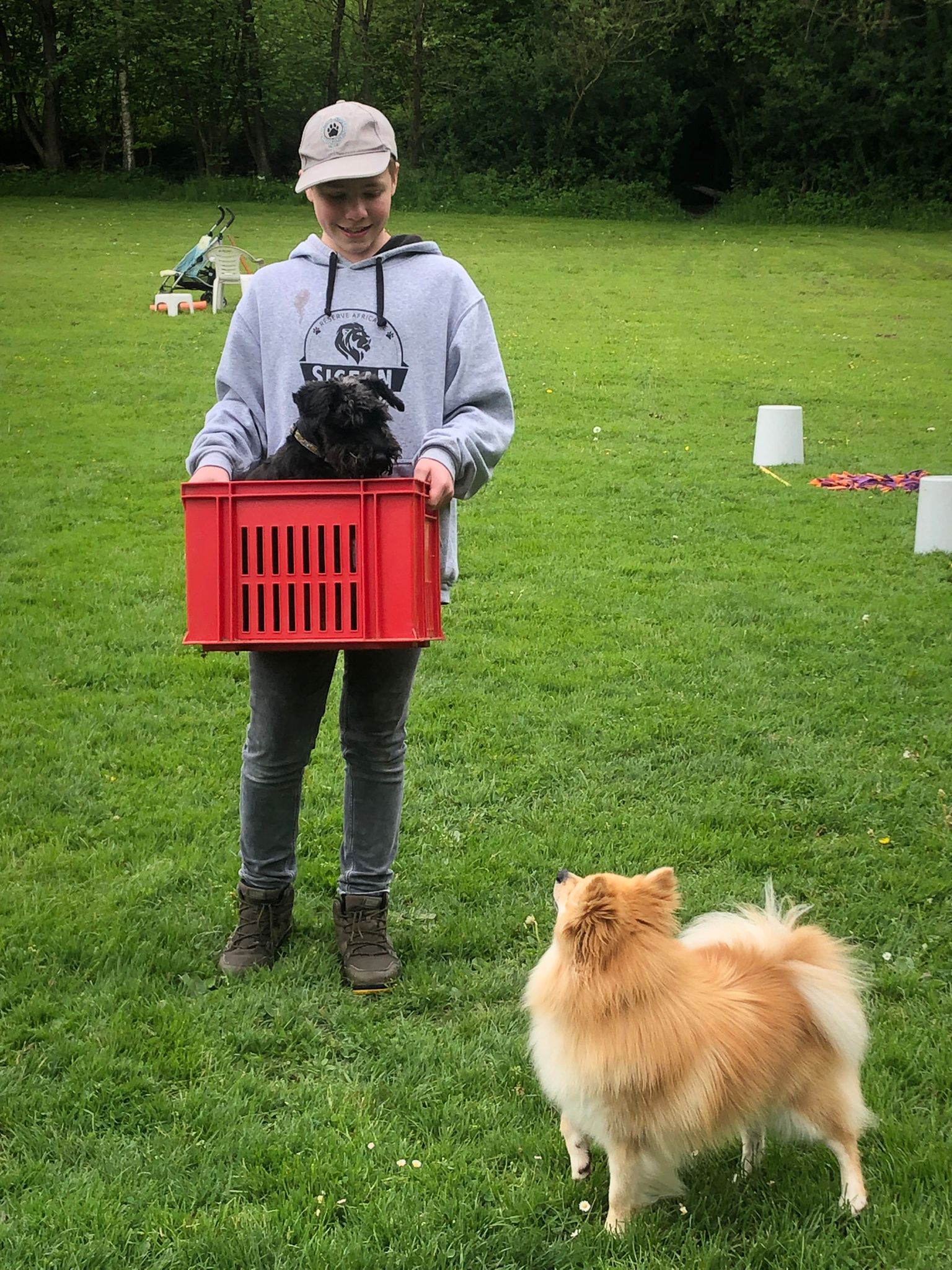 Tag des Hundes 2023