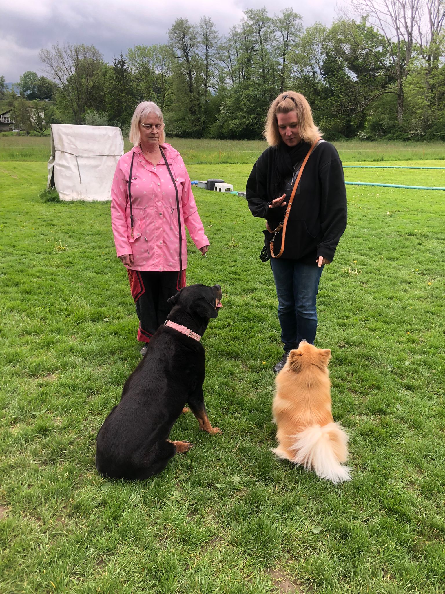 Tag des Hundes 2023