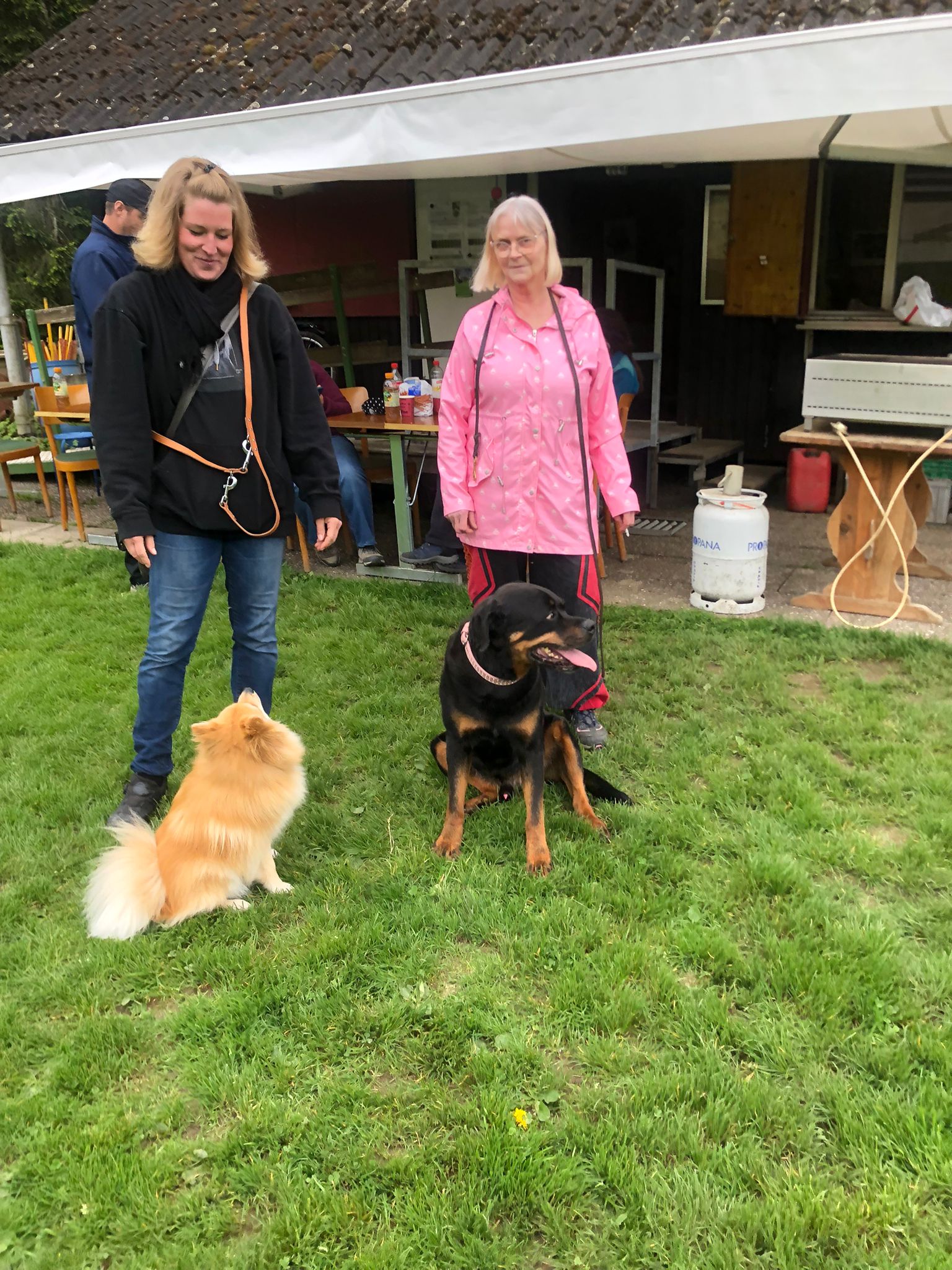 Tag des Hundes 2023