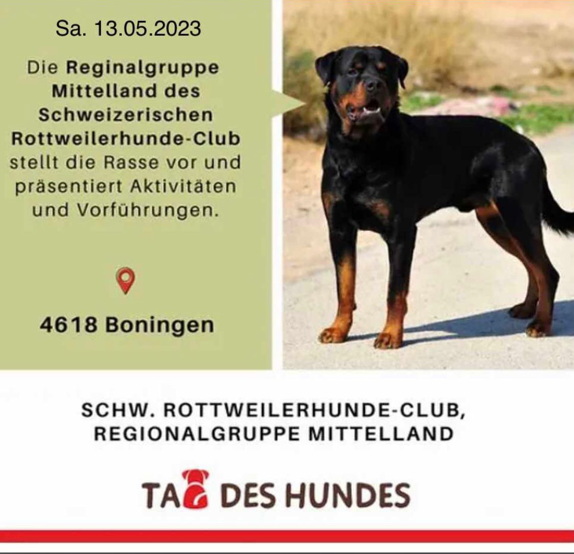 Tag des Hundes 2023
