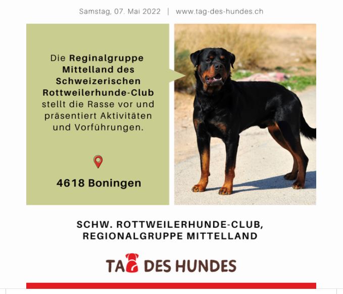 Tag des Hundes 2022